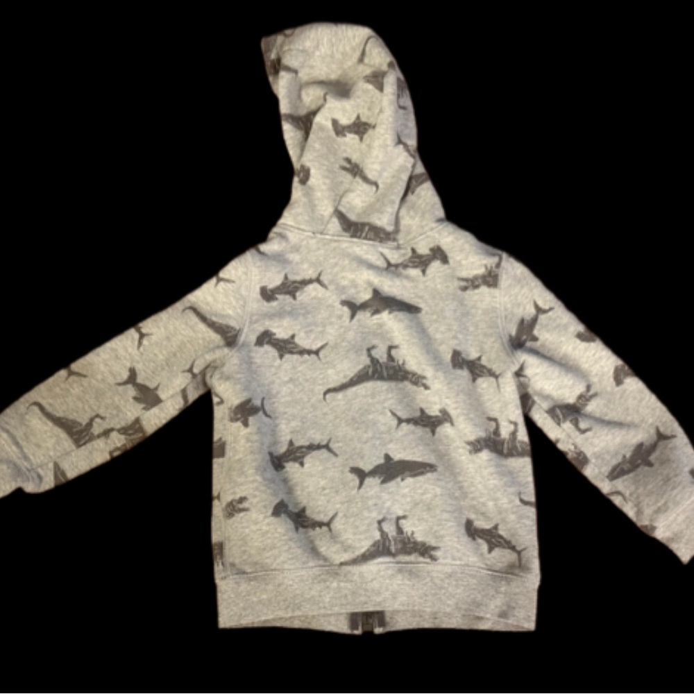 Boys dinosaur zip up hoodie Sz 5t - Picture 3 of 4